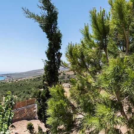 Villa Olvia Sfakia Zewnętrze zdjęcie