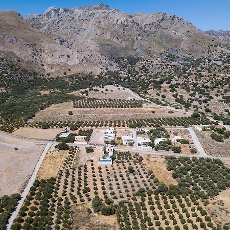 Villa Olvia Sfakia Zewnętrze zdjęcie