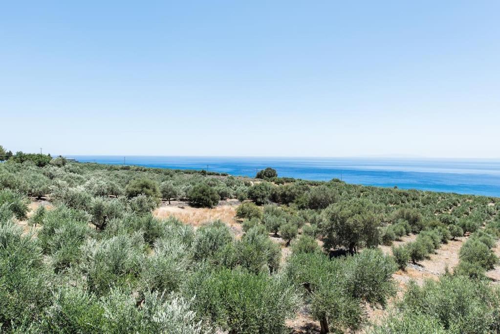 Villa Olvia Sfakia Zewnętrze zdjęcie