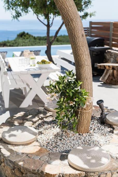Villa Olvia Sfakia Zewnętrze zdjęcie